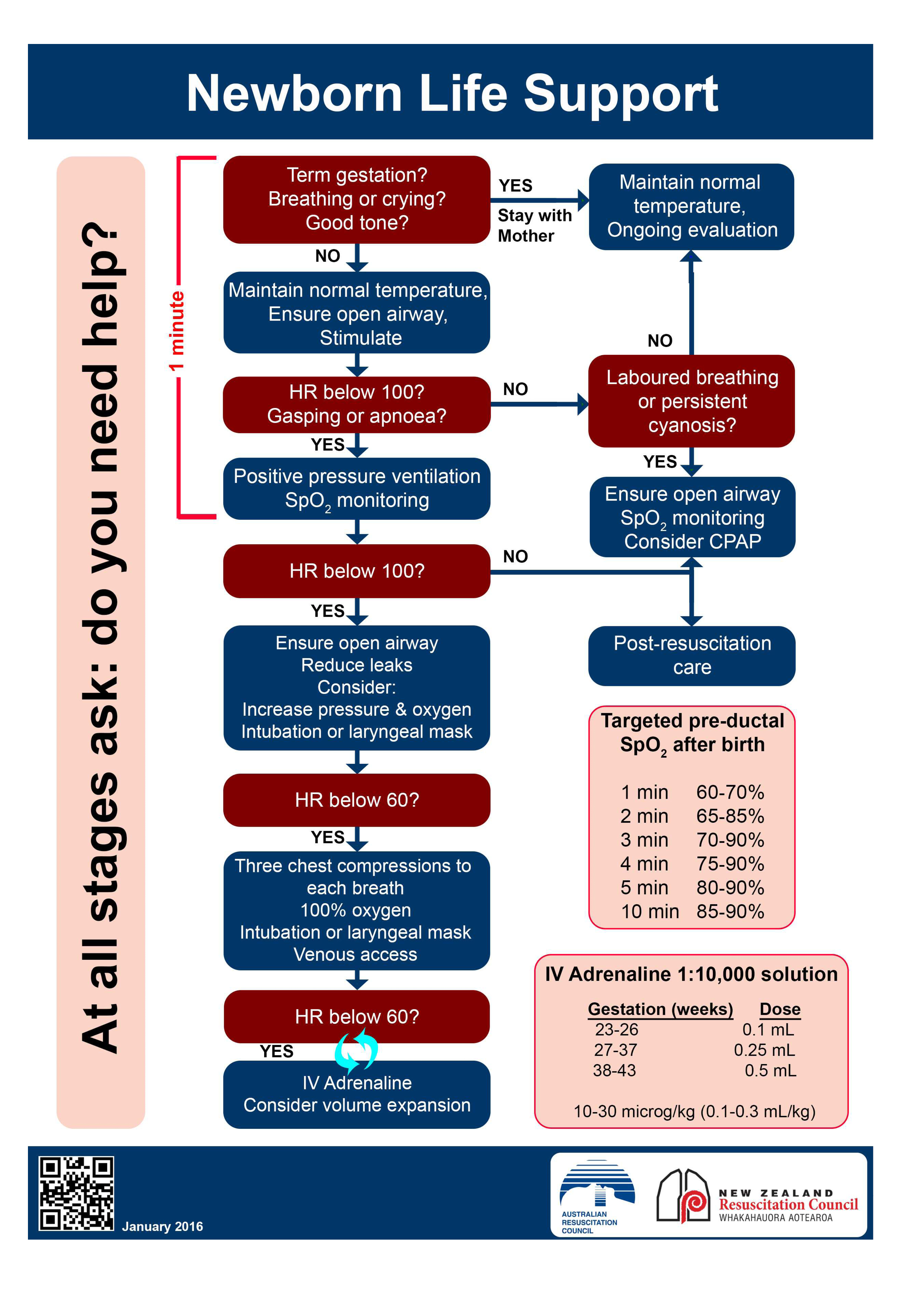 Part 7 Neonatal Resuscitation Neonatal Resuscitation Algorithm Figure